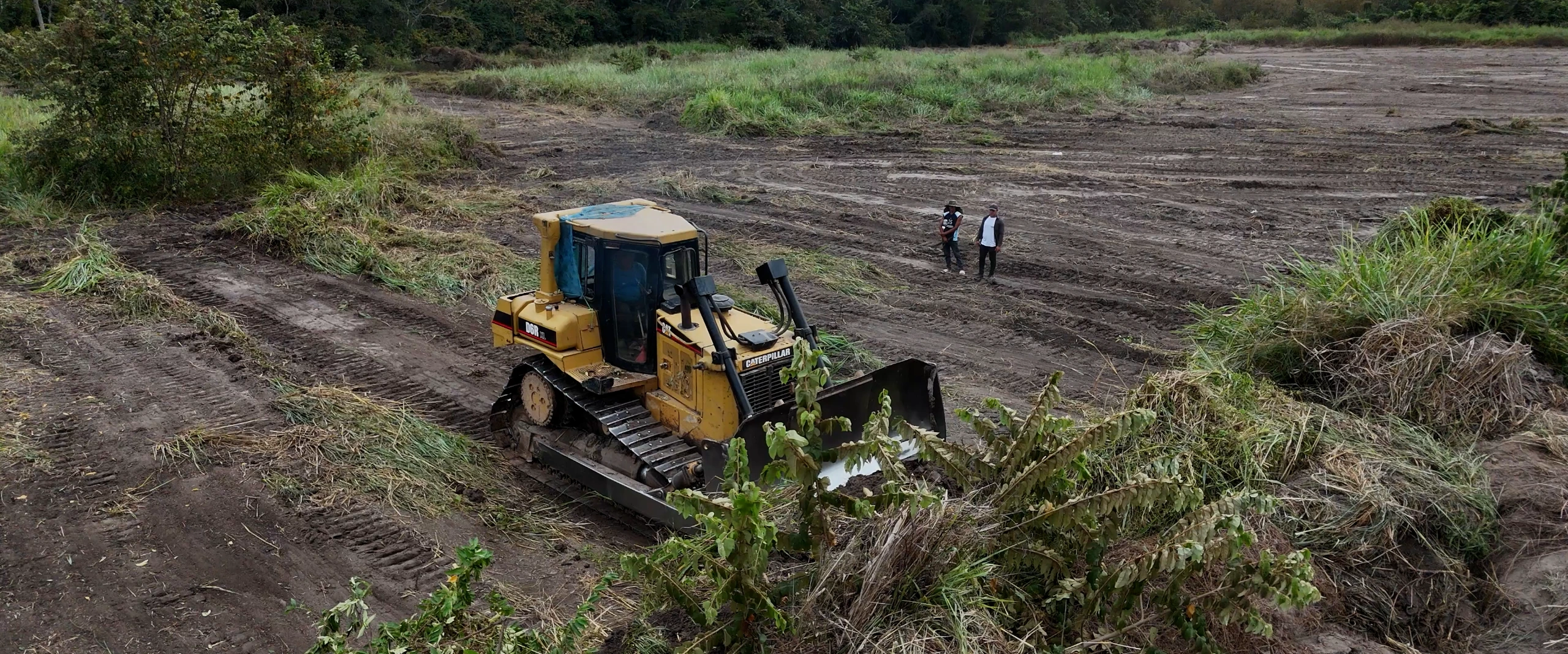 Nuevo Proyecto Ricuricocha