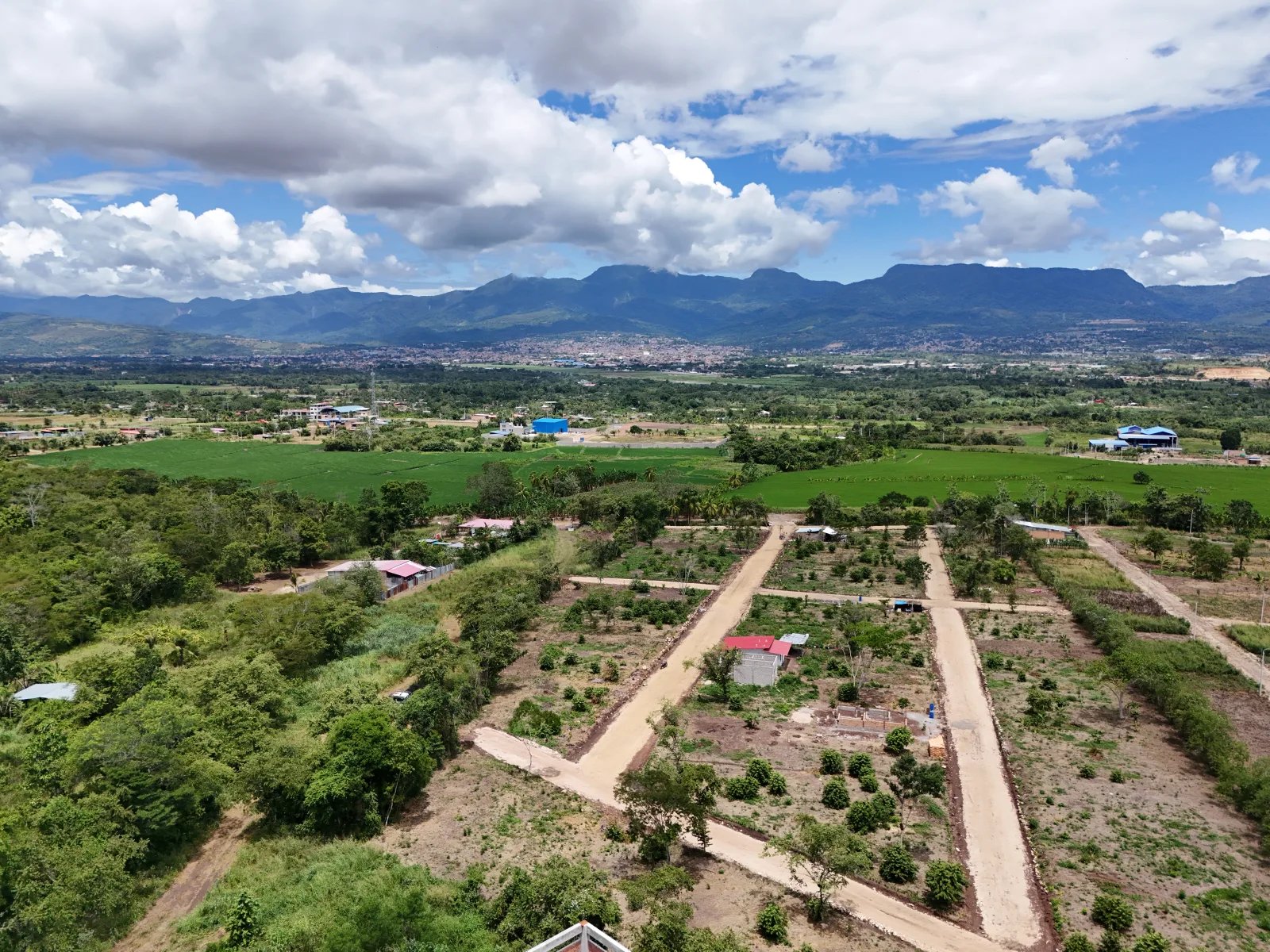 Oasis Tarapoto