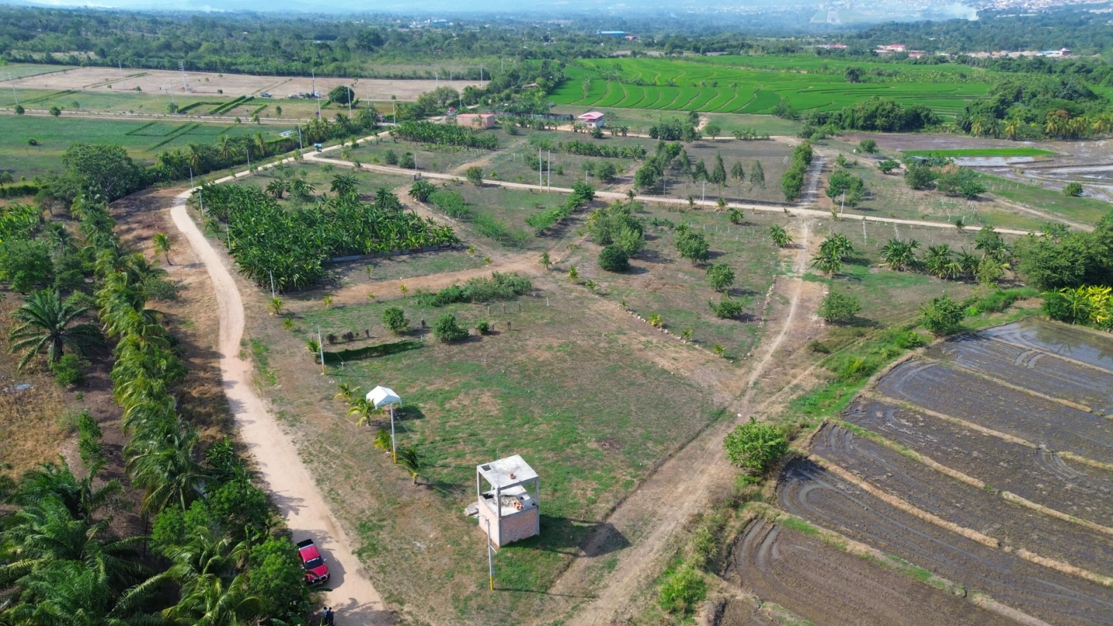 Proyecto: Haras Tarapoto