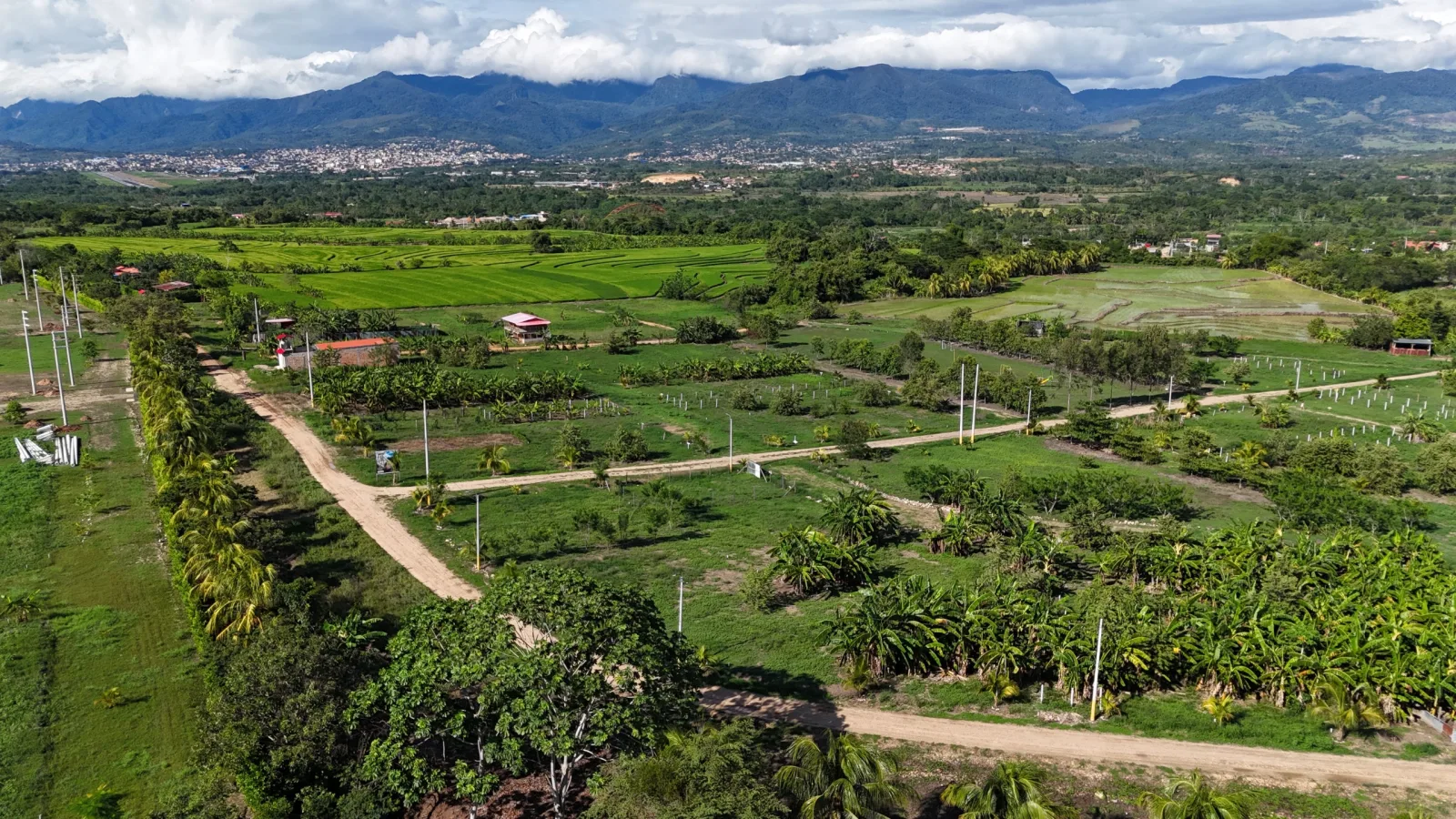 LOTE HARAS DE TARAPOTO MZ. C LT. 4