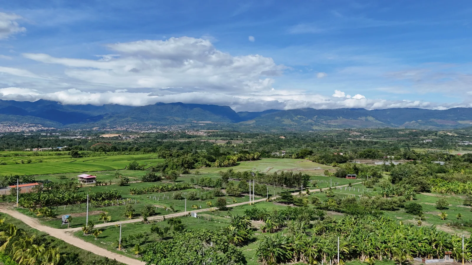 LOTE HARAS DE TARAPOTO MZ. K LT. 1