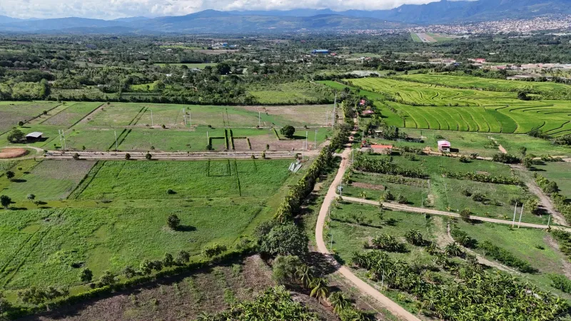 Manzana D · Lote 8