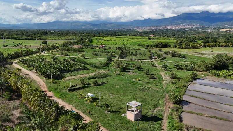 Haras de Tarapoto