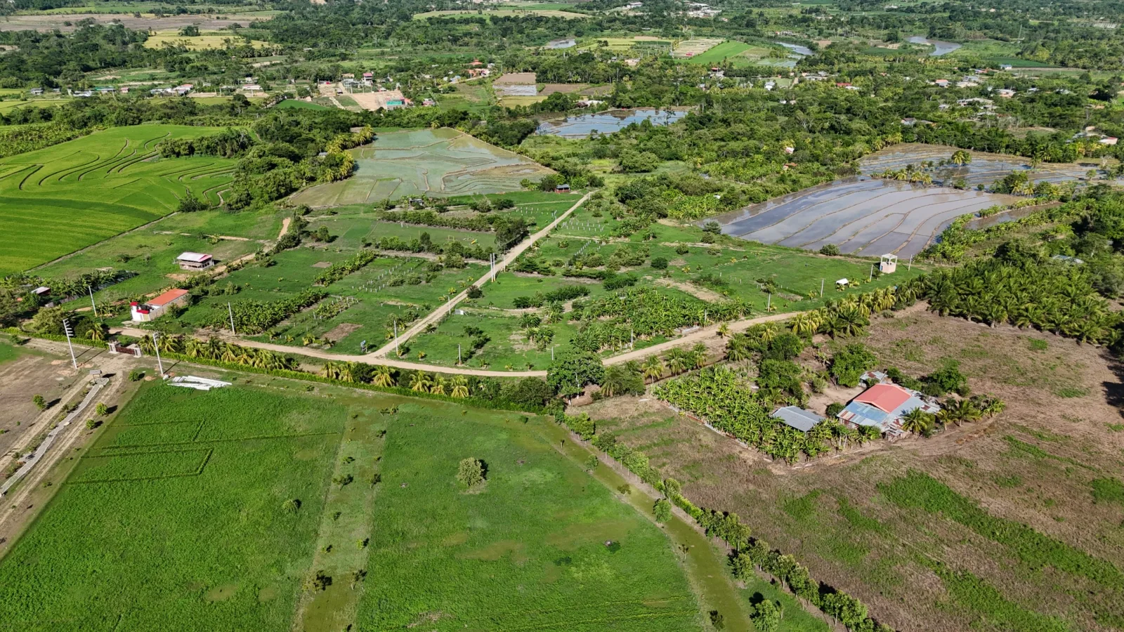 Haras de Tarapoto