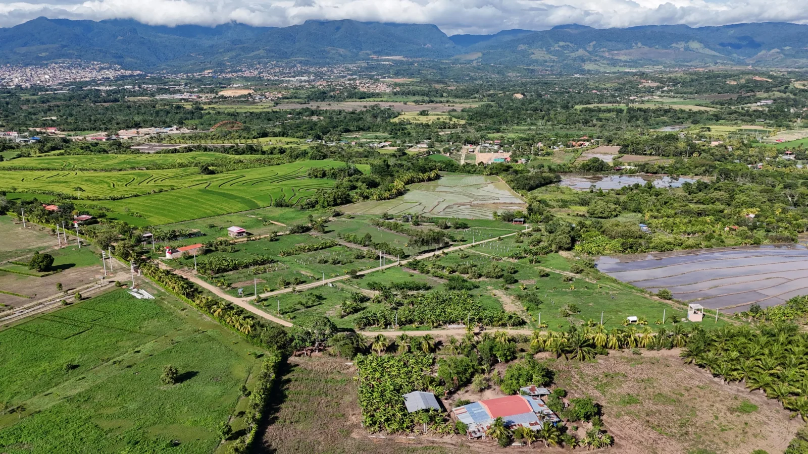 Haras de Tarapoto