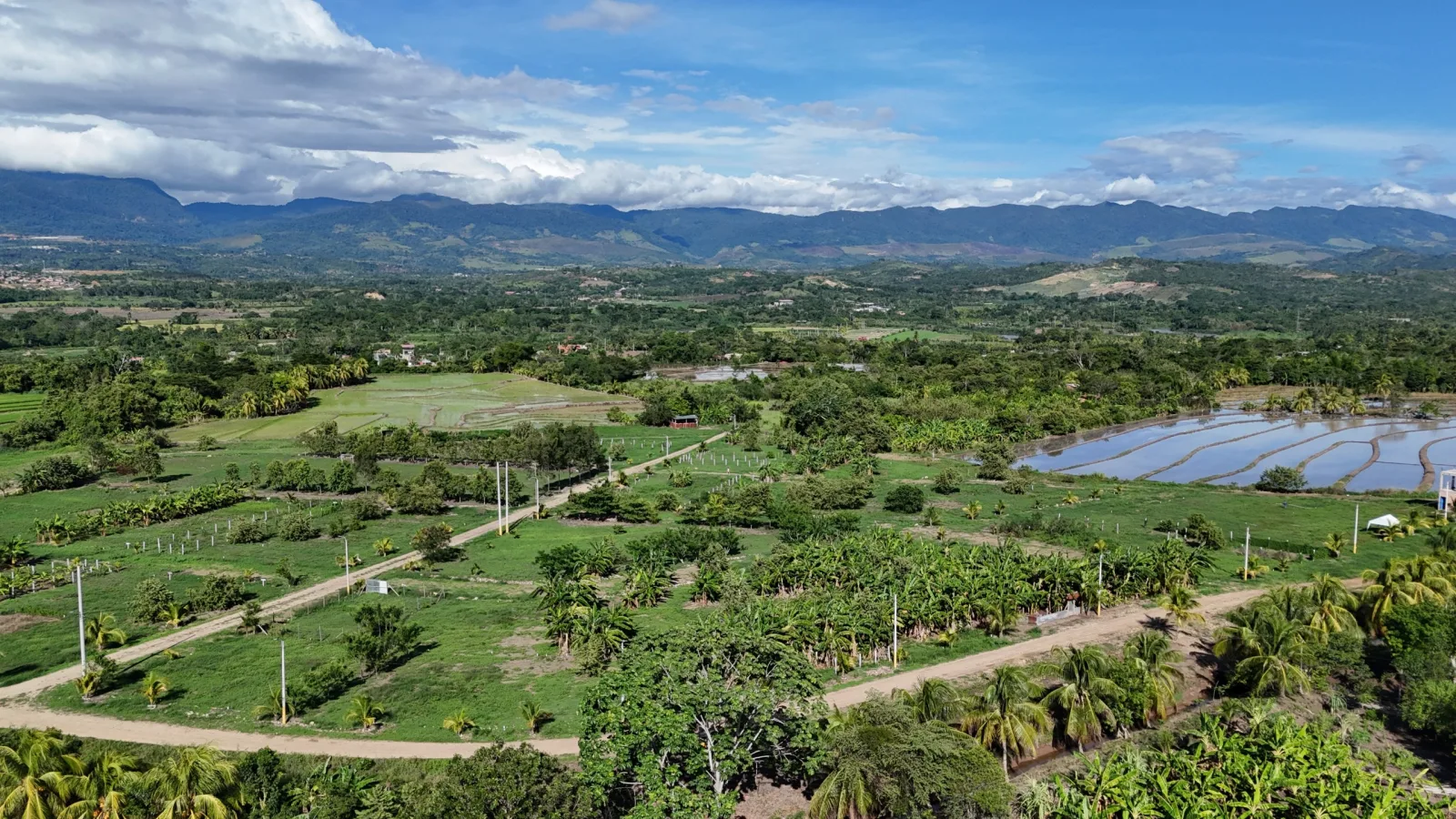 Haras de Tarapoto