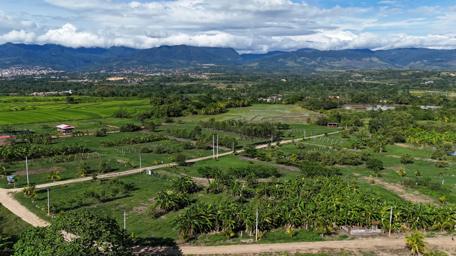 Haras de Tarapoto