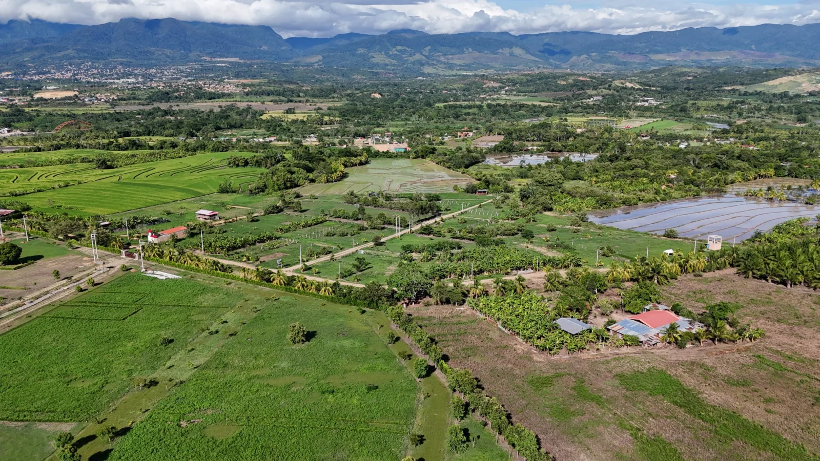 Haras de Tarapoto