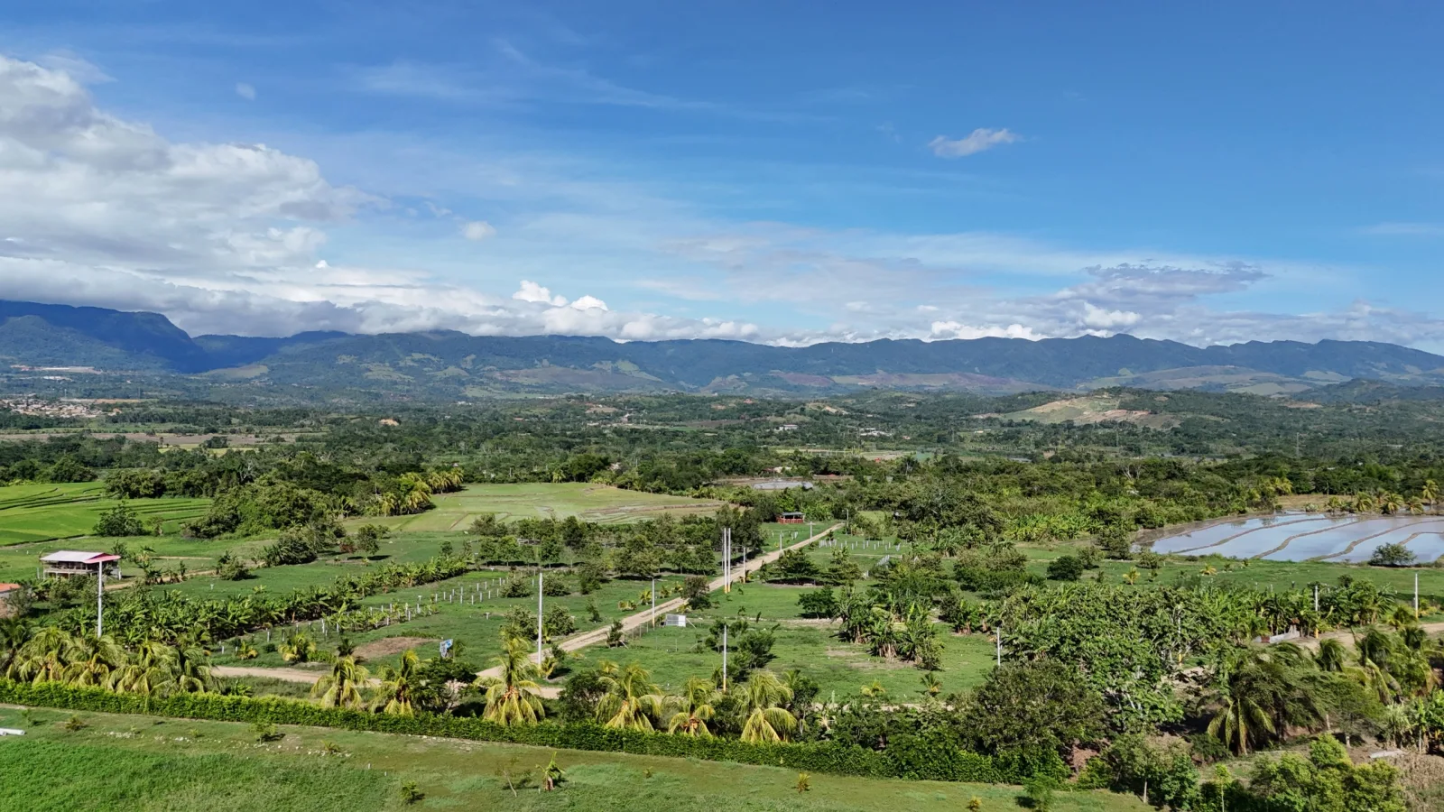 Haras de Tarapoto