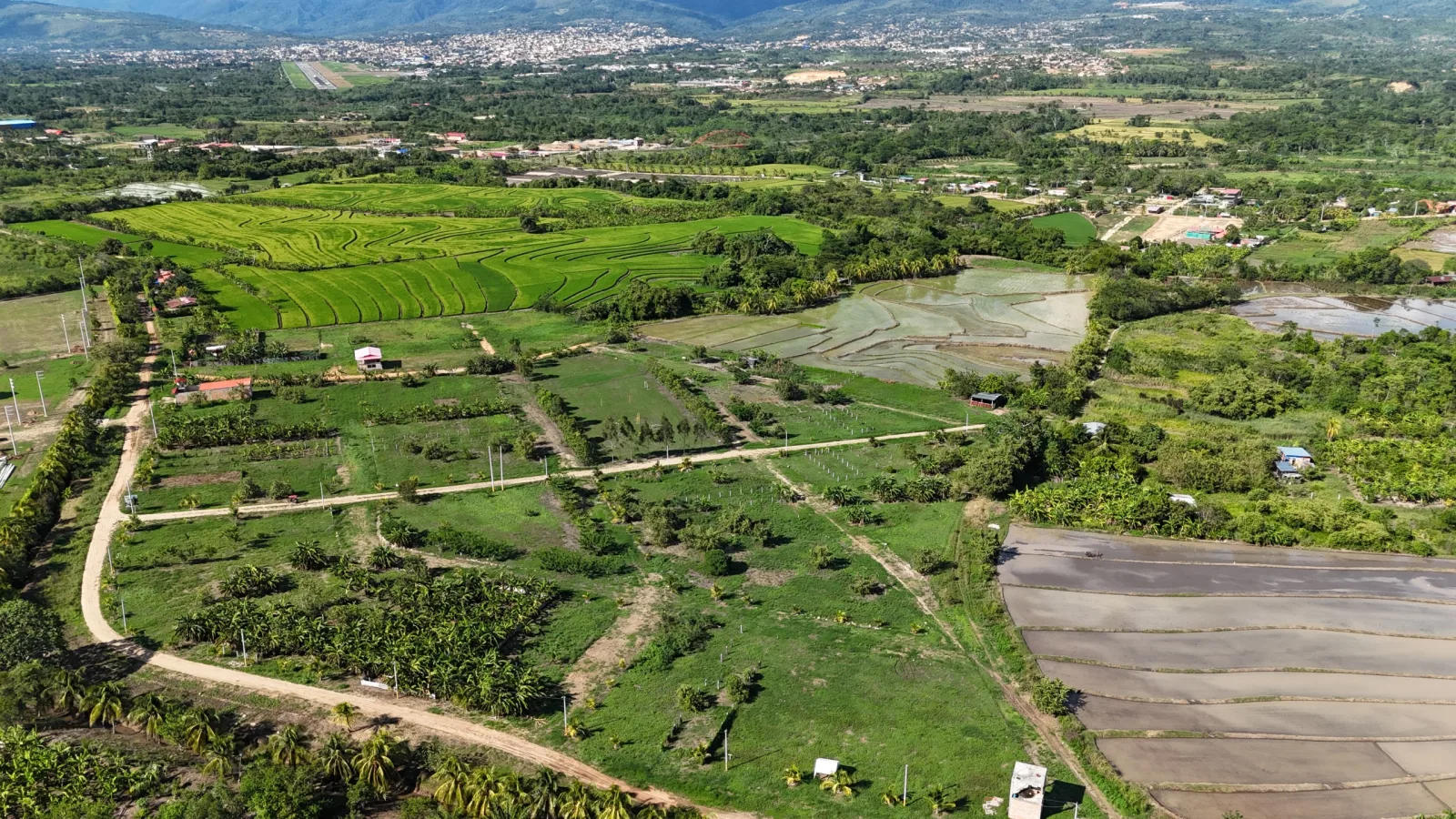 Haras de Tarapoto