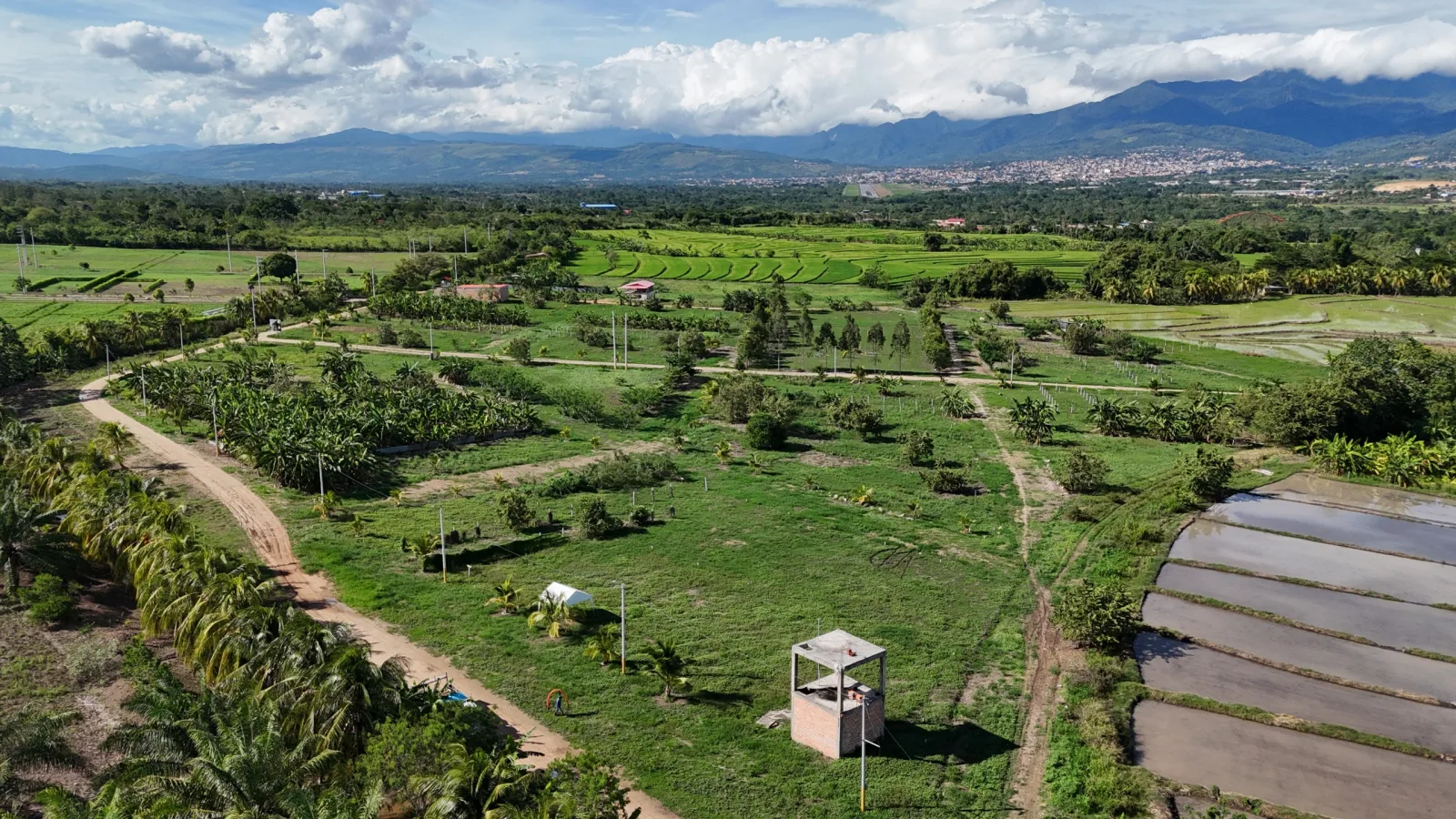 Haras de Tarapoto