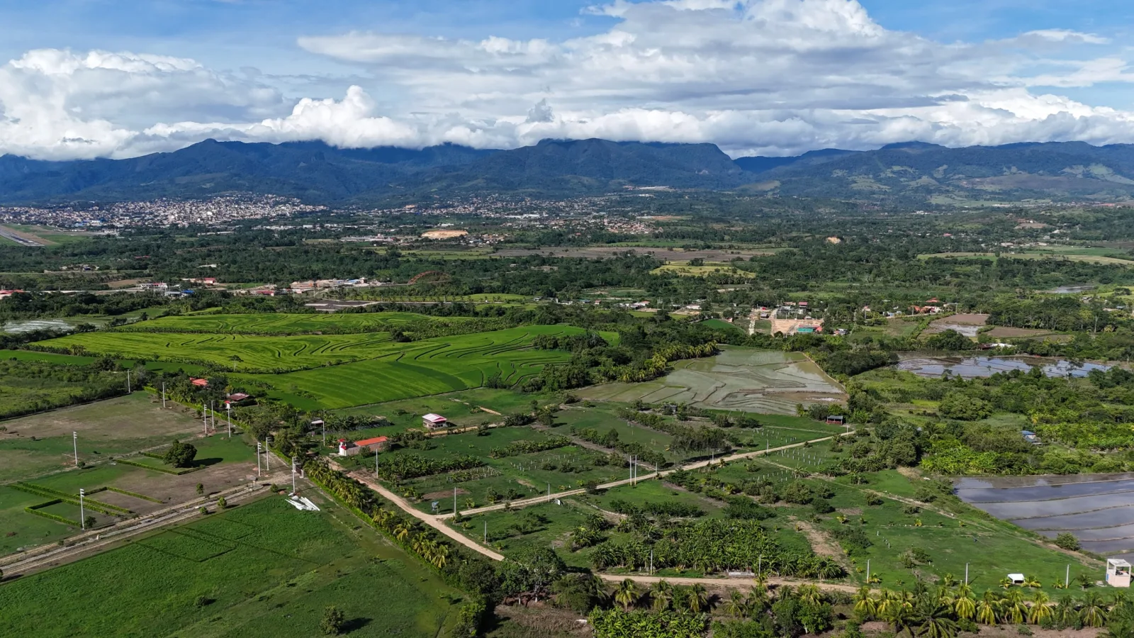 Haras de Tarapoto