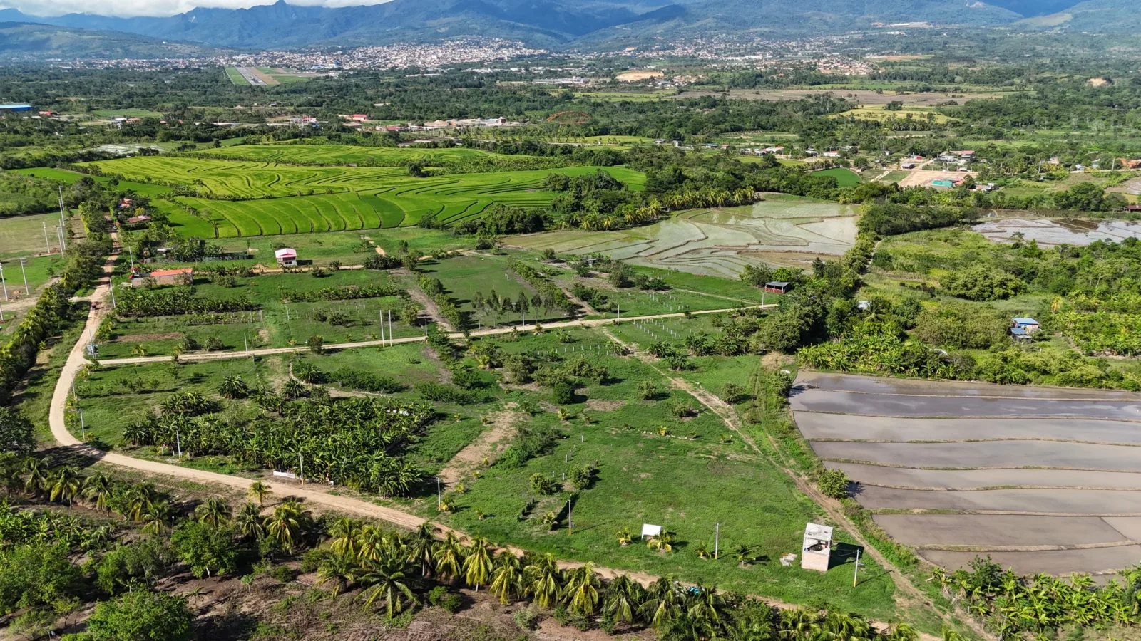 Haras de Tarapoto