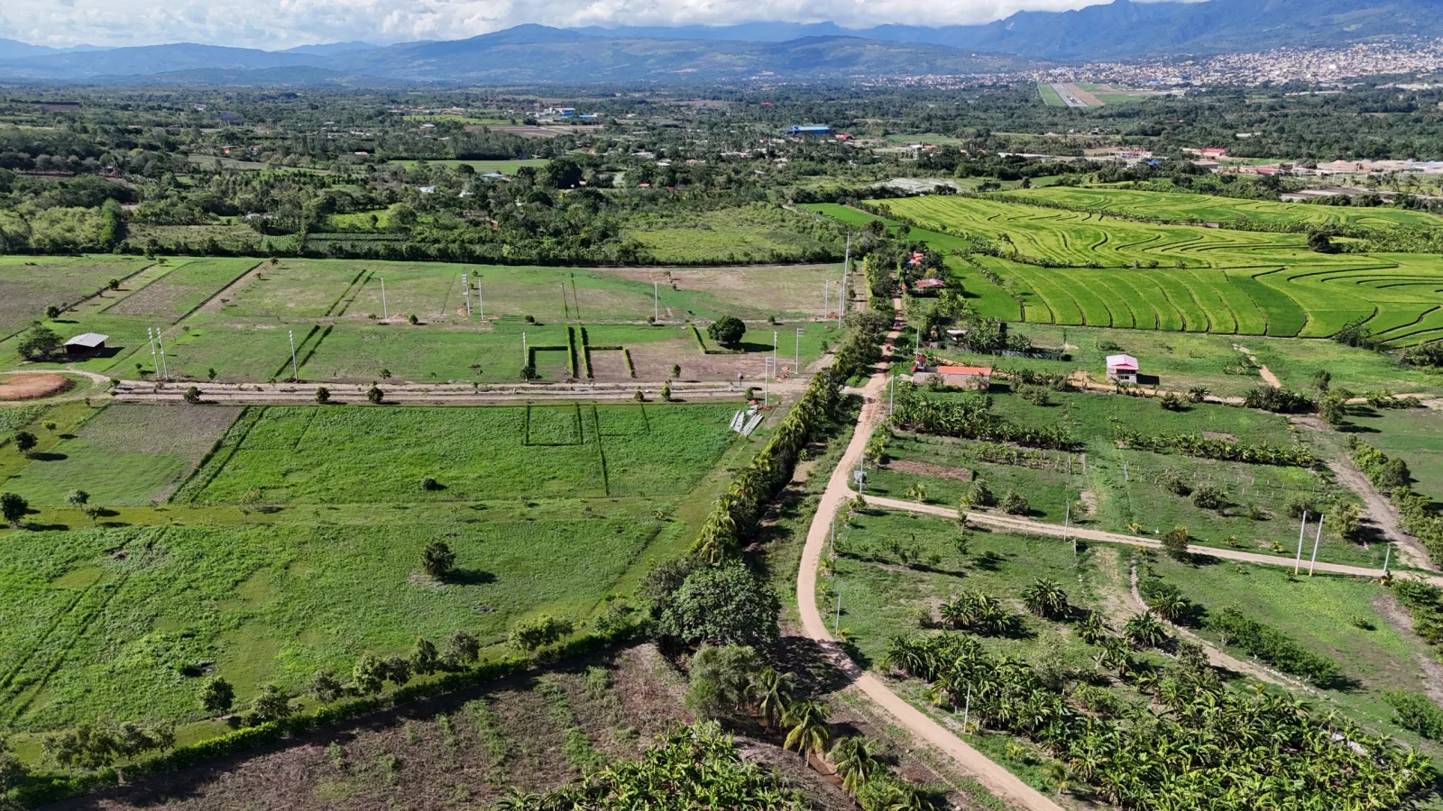 Haras de Tarapoto