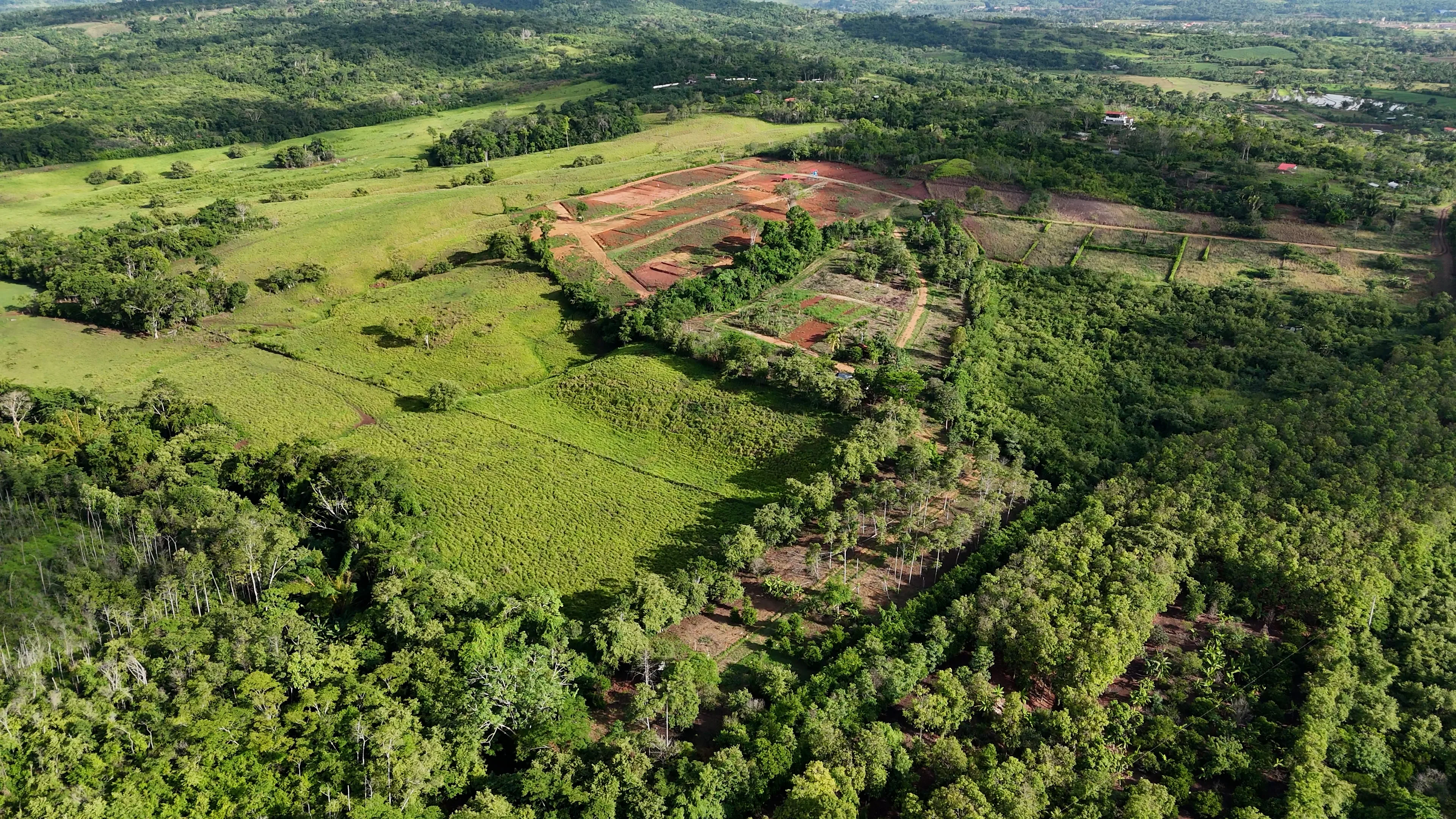 Los Cedros de Tarapoto